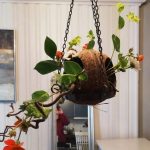 ikebana