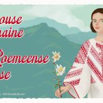 Ziua iei Banner Facebook