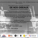 Afis De nos oiseaux 18.10.2024
